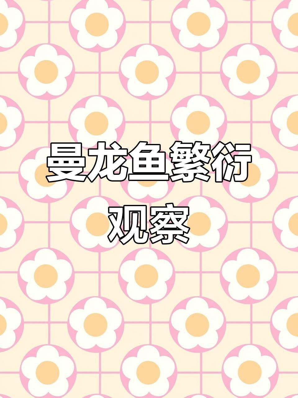 藍曼龍發(fā)情期如何護理？