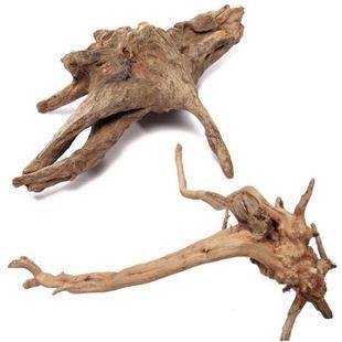 形容魚缸的詞有哪些：魚缸裝飾品的選擇