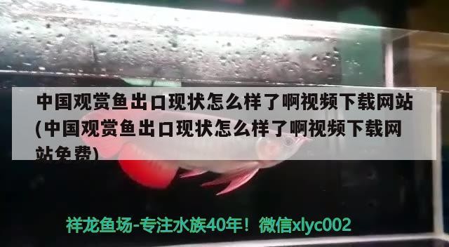 西安市高陵區龍鳳呈祥床上用品店（龍鳳床墊西安直營店）