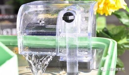 魚缸濾桶進出水怎么安裝：如何選擇魚缸過濾器，魚缸過濾水槽選購技巧