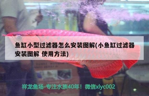 福清市融城水族軒觀賞魚店（福清市融城水族軒觀賞魚店地址）