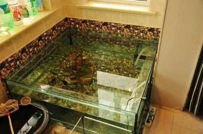 戶外玻璃魚缸設計需要注意的幾個設計要點：戶外玻璃魚缸設計：戶外玻璃魚缸的設計要點