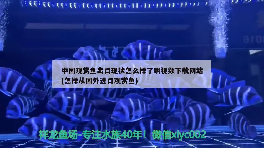 山東匯泉生物科技有限公司（山東匯泉生物科技有限公司怎么樣）