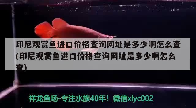 山東匯泉生物科技有限公司（山東匯泉生物科技有限公司怎么樣）