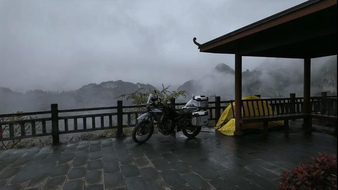 海龍魚的藥用成分有哪些？