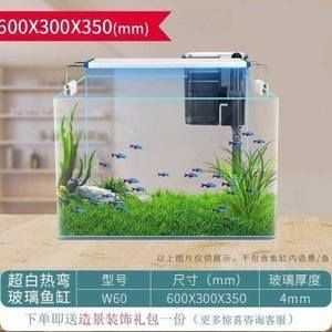 觀賞蝦飼養(yǎng)觀賞蝦的數(shù)量和大小、水質惡化、水質惡化：觀賞蝦的飼養(yǎng)技術