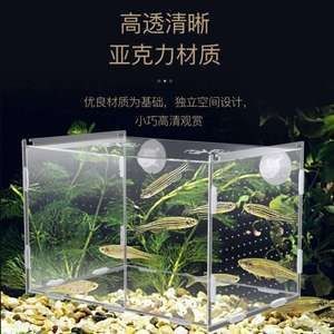 觀賞蝦飼養(yǎng)觀賞蝦的數(shù)量和大小、水質惡化、水質惡化：觀賞蝦的飼養(yǎng)技術