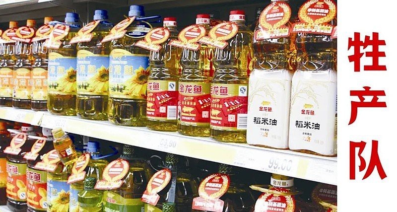 金龍魚來自哪里