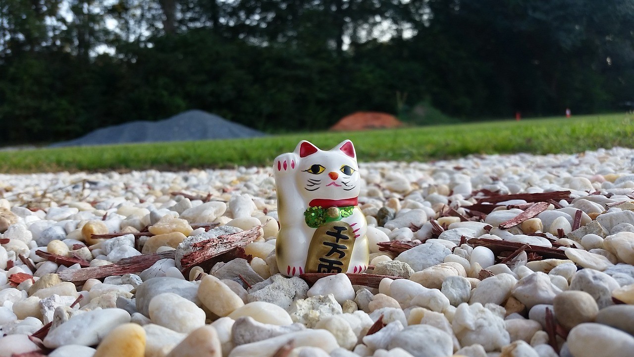 長沙市芙蓉區(qū)方哥金魚經(jīng)營部（長沙市芙蓉區(qū)方哥金魚經(jīng)營部地址）