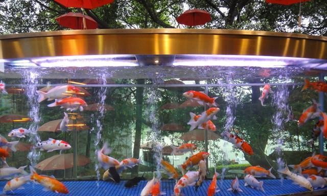 <strong><mark>江海</mark></strong>區魚樂點水族店（<strong><mark>江海</mark></strong>區魚樂點水族店電話號碼）