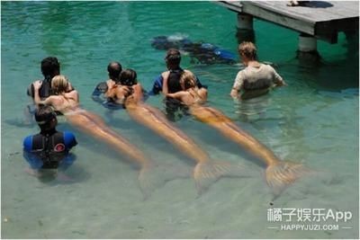 養(yǎng)金龍魚(yú)的最佳溫度和濕度：養(yǎng)金龍魚(yú)的最佳溫度應(yīng)該控制在24-29℃之間