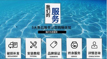 魚缸過濾系統的安全性是養魚愛好者非常關心的問題：diy魚缸過濾系統的安全性