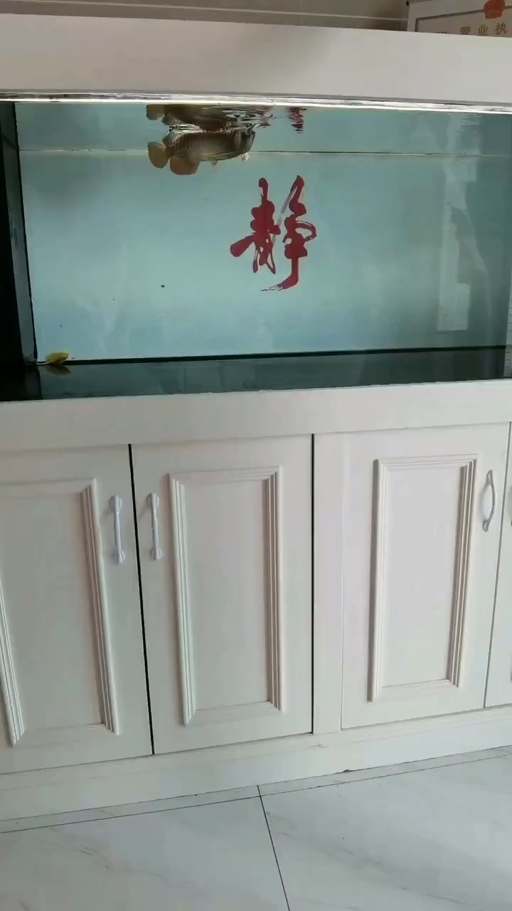 老躲溢流區不動