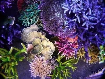 明星水族科技魚缸安裝：明星水族科技魚缸安裝一般流程