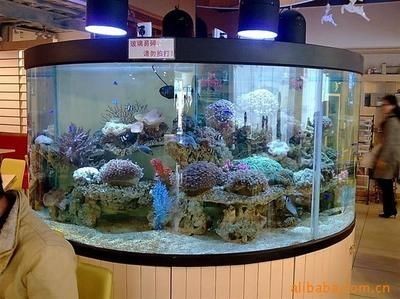 觀賞魚缸提示語-文庫百度觀賞魚缸溫馨提示語-食品商務網：觀賞魚缸安全提示語
