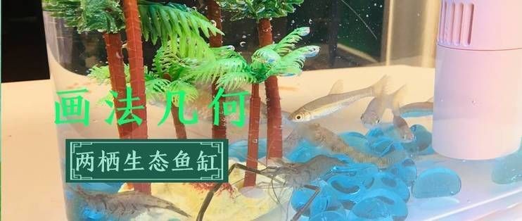 小米幾何魚缸拆解：小米幾何畫法兩棲懶人魚缸拆解