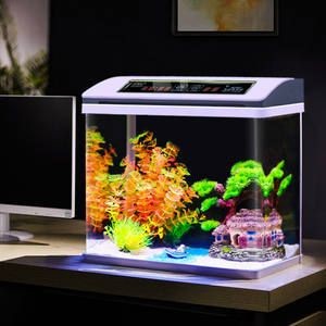 金龍魚缸晚上用開燈嗎？：金龍魚缸晚上是否需要開燈，有幾個特殊情況要考慮