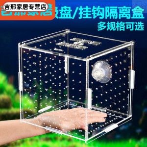 廣州水族市場探秘廣州水族市場探秘廣州水族市場：廣州小魚魚缸專賣店 廣州水族市場探秘廣州水族市場探秘廣州水族市場：廣州小魚魚缸專賣店 魚缸百科 第3張