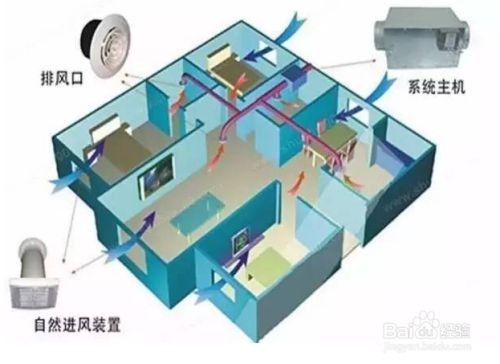 如何預防魚缸水溫過高：夏季魚缸水溫調控的科學方法分享,魚缸水溫調控的科學方法