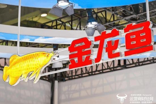 龍魚成本：龍魚養殖成本決定售價的重要因素
