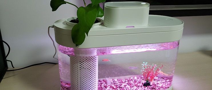 畫法幾何魚缸c500說明書：畫法幾何魚缸c500智能系統使用指南