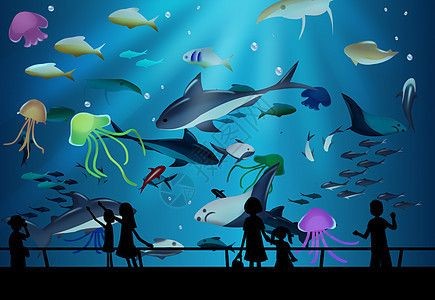 海豚魚缸圖片大全：海豚魚缸圖片大全大全