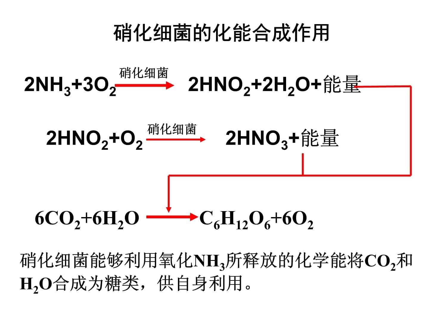光合硝化細菌直接放魚缸里嗎可以嗎（光合硝化細菌的使用）