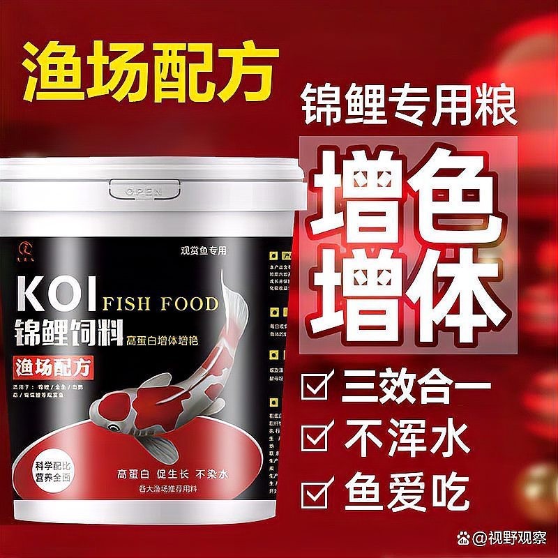 銀龍魚喂錦鯉飼料行嗎