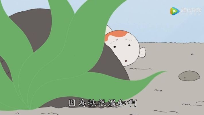 紅色的魚缸鬼片視頻在線觀看資源：《紅色的魚缸鬼片視頻在線觀看》