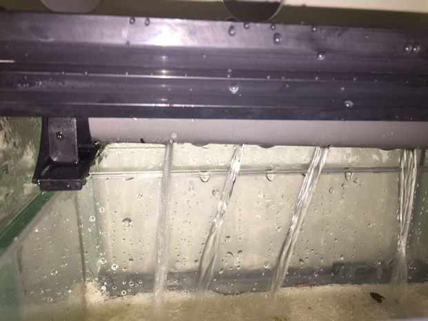 魚缸漏水怎么辦：底濾魚缸出水口漏水解決方案diy修復魚缸技巧