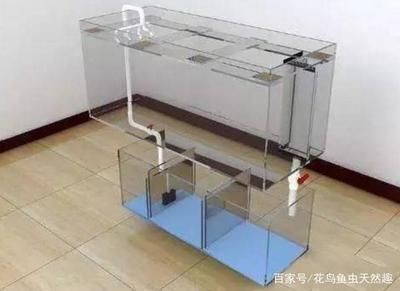 底濾魚缸除不了油膜怎么整