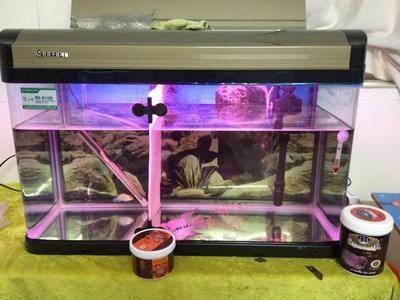閩江魚缸漏水了怎么辦：閩江魚缸漏水處理方法