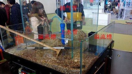 底濾魚缸上水快下水慢的原因是由于多種原因引起的：底濾魚缸上水快下水快下水慢的原因是多種原因引起的