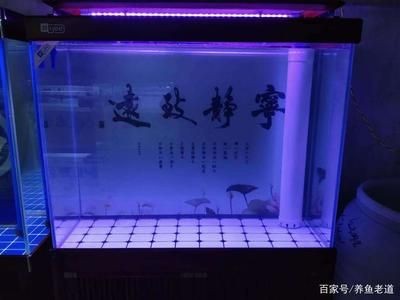 底濾魚缸上水快下水慢的原因是由于多種原因引起的：底濾魚缸上水快下水快下水慢的原因是多種原因引起的