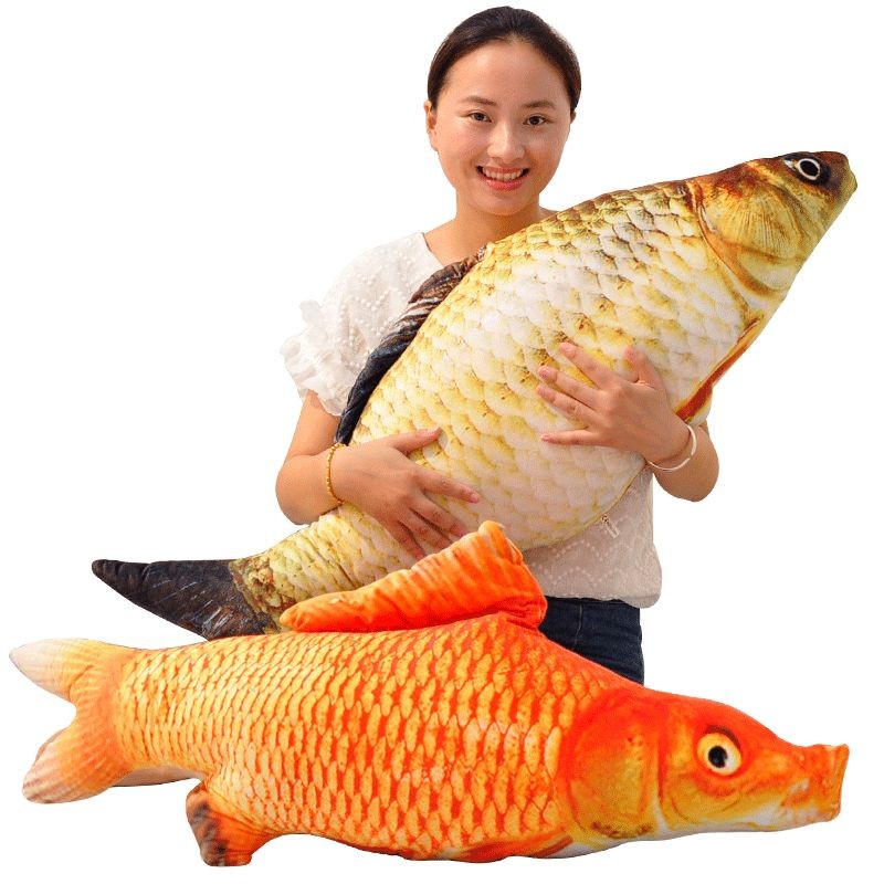 最大的龍魚能長多大：最大的龍魚體長約80厘米，適當的飼養條件下，龍魚體長遠超預期