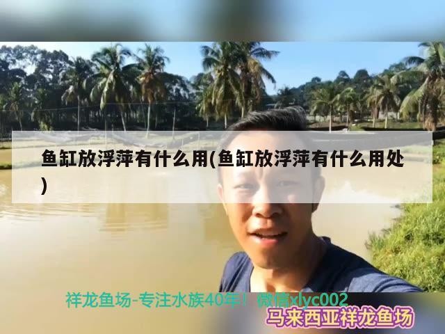 北京黃村豐杰觀賞魚店