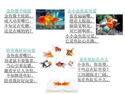 龍魚喂食階段對照表，魚喂食蝦的頻率取決于幾個關鍵因素，包括龍魚的大小、健康狀況以及它們所處的環境