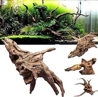 什么木放魚缸里不黃水：幾種適合放在魚缸中的木頭