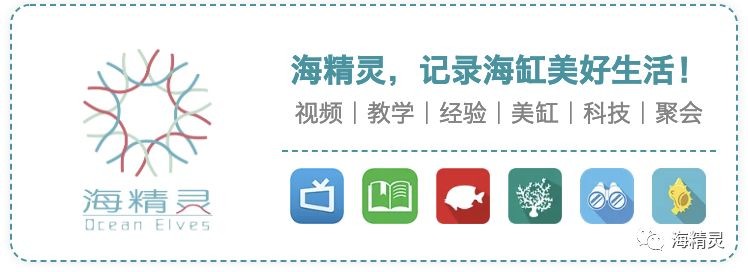 金晶玻璃魚缸缺點分析：金晶玻璃魚缸性價比如何