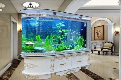 魚缸牌子：魚缸品牌性價比排行：水族箱品牌售后服務評價魚缸品牌創新技術對比