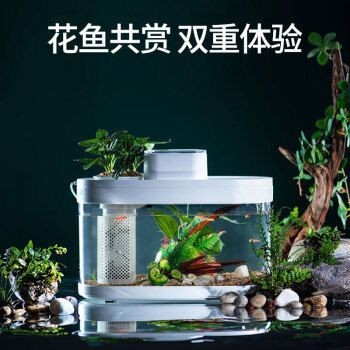 畫法幾何魚缸一鍵換水：畫法幾何魚缸換水