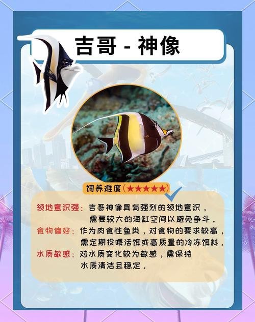 恐龍魚圖片動畫片大全