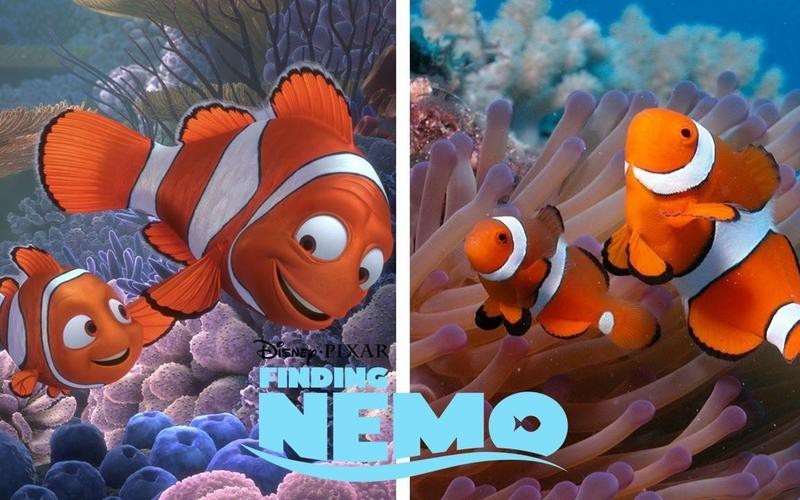 恐龍魚圖片動畫片大全