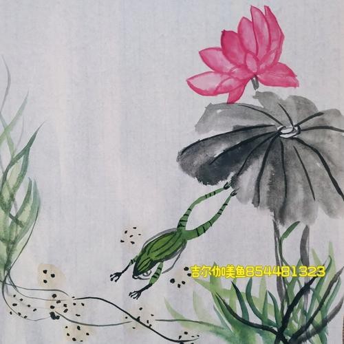 恐龍魚圖片動畫片大全