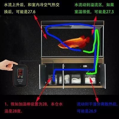 魚缸加熱棒什么牌子質量好：森森加熱棒價格對比eheim加熱棒價格對比