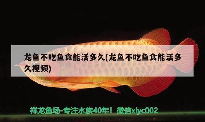 豐順縣潘田鎮昭魚用品店