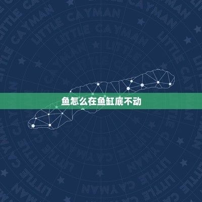 魚缸魚在下面不動怎么辦，如何判斷魚缸水質是否合格魚缸水溫調節的最佳方法 魚缸魚在下面不動怎么辦，如何判斷魚缸水質是否合格魚缸水溫調節的最佳方法 龍魚百科 第3張