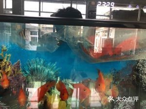北京懷柔區多家魚缸銷售及相關服務店：北京市懷柔區多家魚缸銷售及相關服務