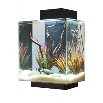 薩伊藍魚缸造景：薩伊藍魚缸造景是一種創新的室內水族箱設計的創新項目
