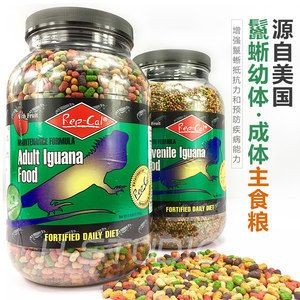 什么金龍魚好釣魚效果好呢，過背金龍魚、紅龍魚、青龍魚都是釣魚效果好的金龍魚品種推薦